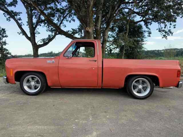 Chevrolet C10/K10 1978 image number 4