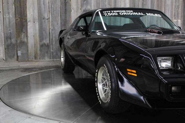 Pontiac Firebird 1979 image number 18