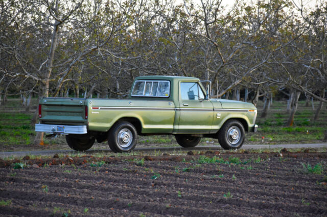 Ford F-250 1974 image number 6