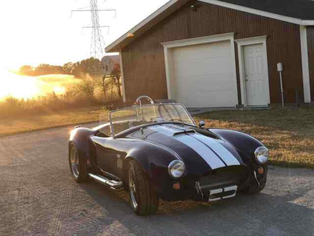 Ford Cobra 1965 image number 0