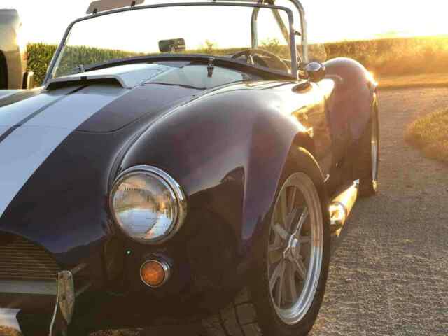 Ford Cobra 1965 image number 14