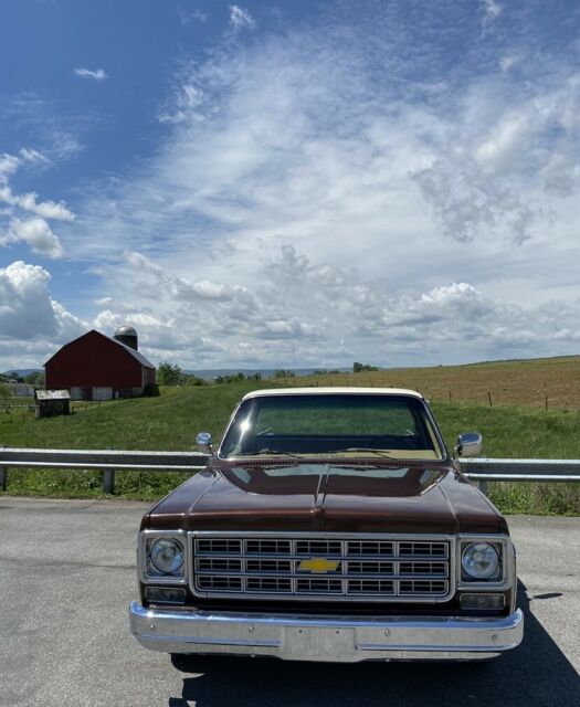 Chevrolet C-10 1978 image number 14