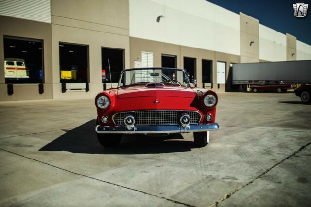 Ford Thunderbird 1955 image number 2