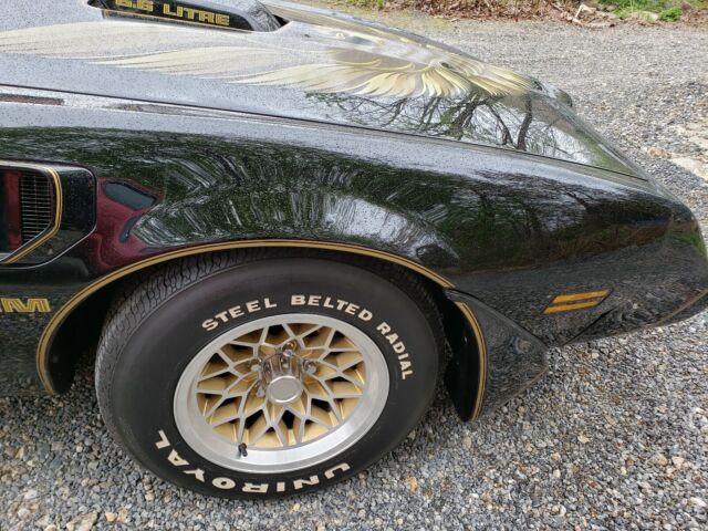 Pontiac Trans Am 1979 image number 12