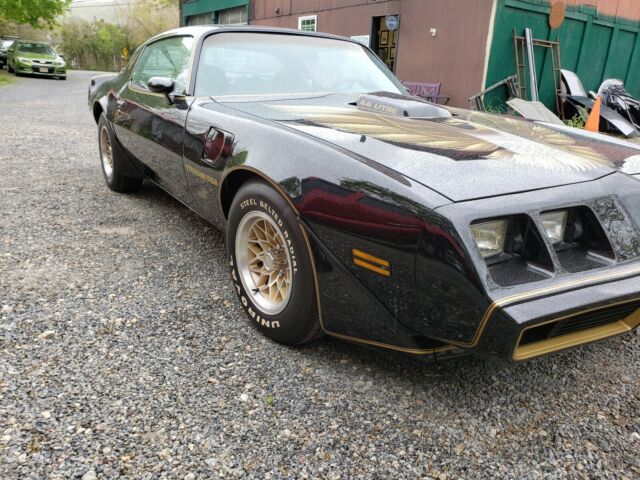 Pontiac Trans Am 1979 image number 14