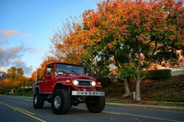 Toyota Land Cruiser 1965 image number 14