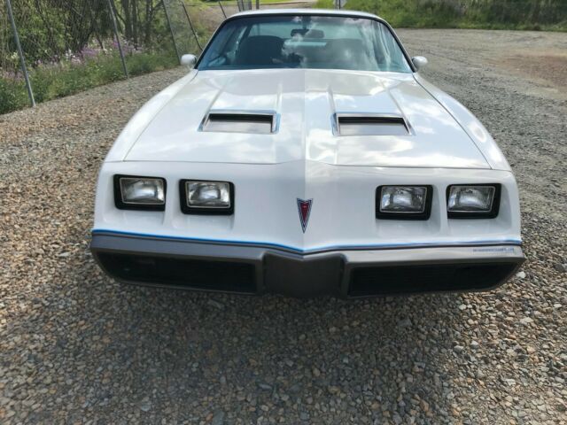 Pontiac Firebird 1979 image number 39