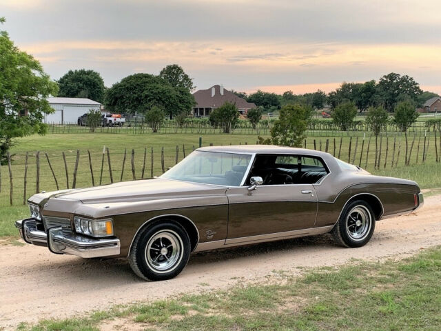 Buick Riviera 1973 image number 1