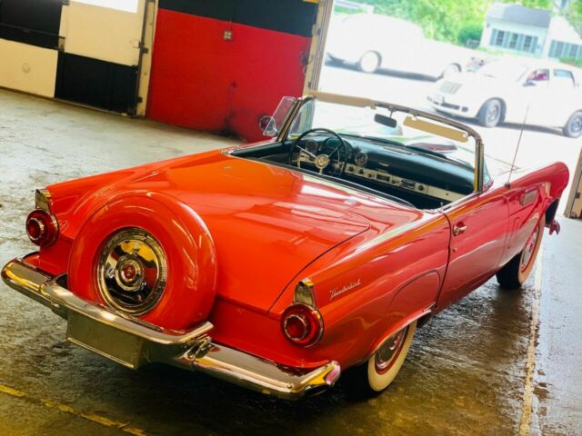 Ford Thunderbird 1956 image number 3