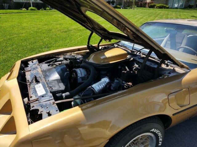 Pontiac Trans Am 1979 image number 17