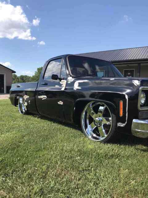 Chevrolet C10/K10 1976 image number 26