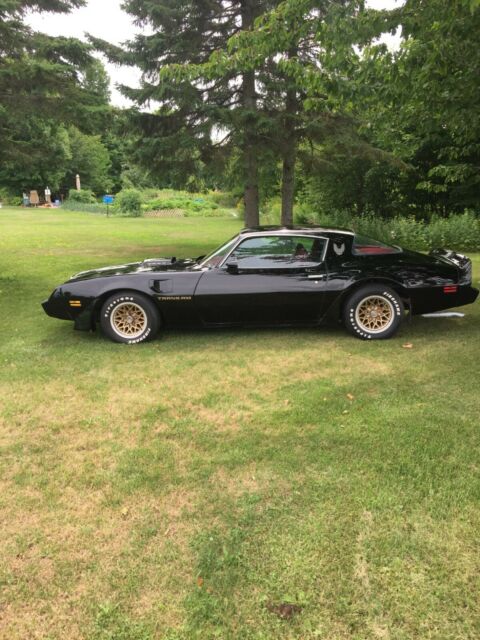 Pontiac Trans Am 1979 image number 0