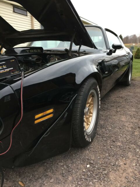 Pontiac Trans Am 1979 image number 1