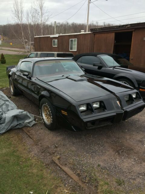 Pontiac Trans Am 1979 image number 16