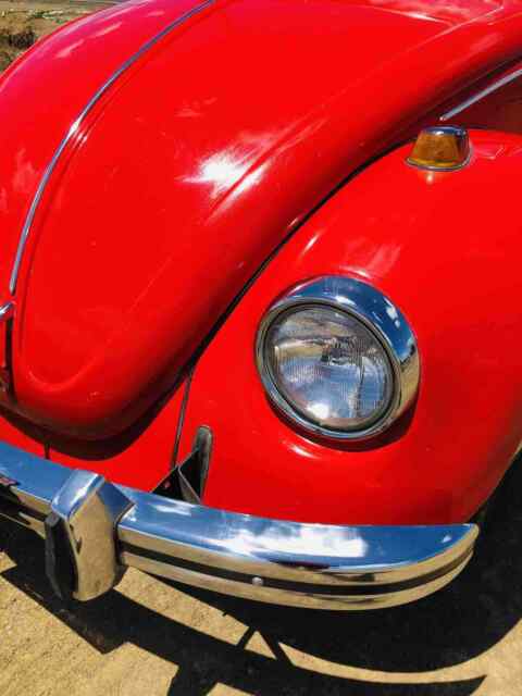 Volkswagen Beetle (Pre-1980) 1969 image number 11