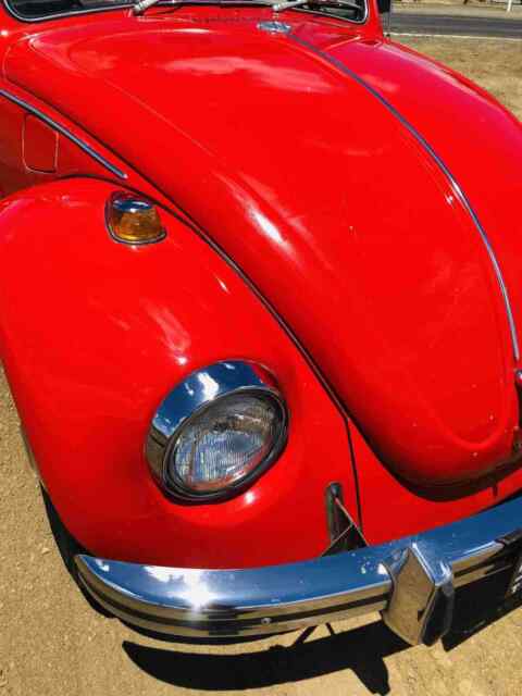 Volkswagen Beetle (Pre-1980) 1969 image number 12