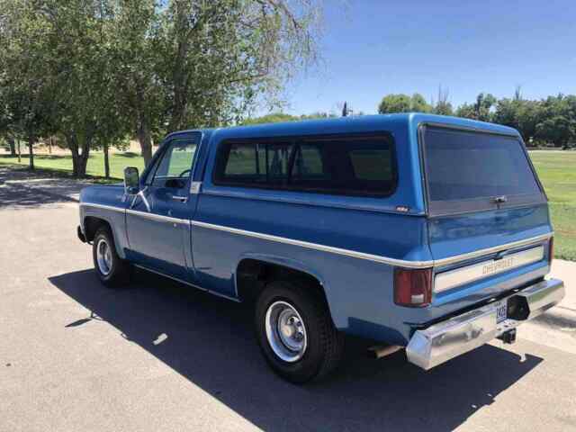 Chevrolet C10/K10 1977 image number 29