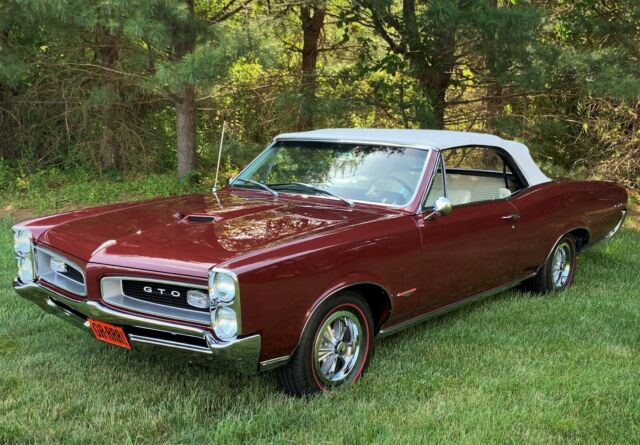 Pontiac GTO 1966 image number 10