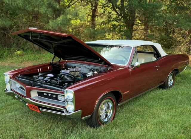 Pontiac GTO 1966 image number 25