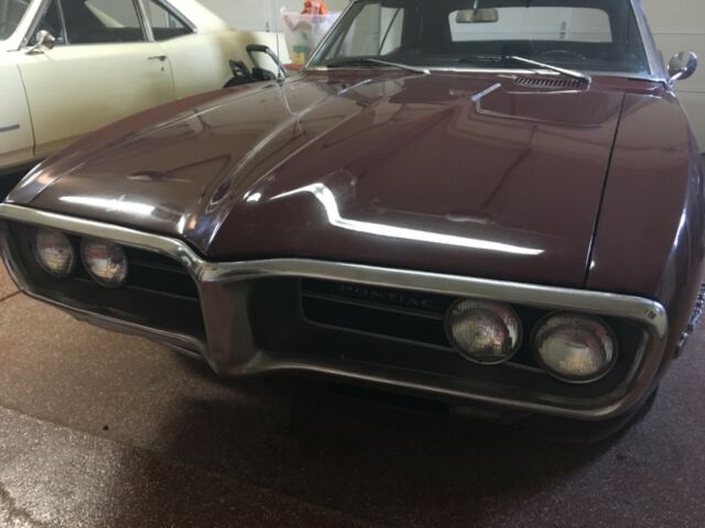 Pontiac Firebird 1967 image number 2