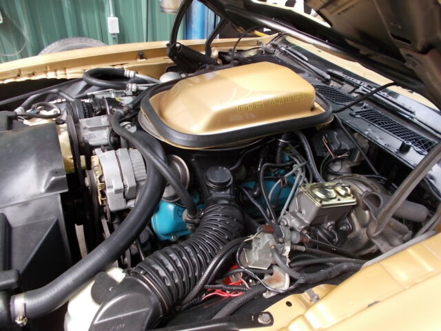 Pontiac Trans Am 1979 image number 12