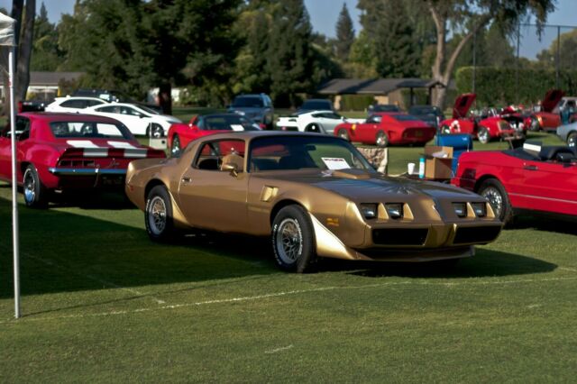 Pontiac Trans Am 1979 image number 19