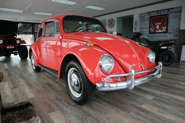 Volkswagen Beetle - Classic 1967 image number 0