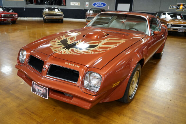 Pontiac Trans Am 1976 image number 13