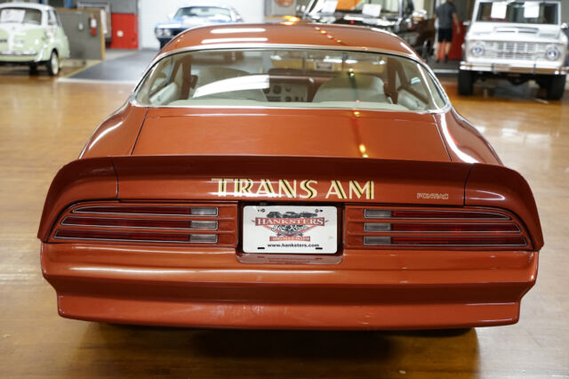 Pontiac Trans Am 1976 image number 16