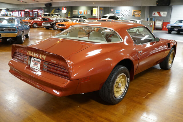 Pontiac Trans Am 1976 image number 17