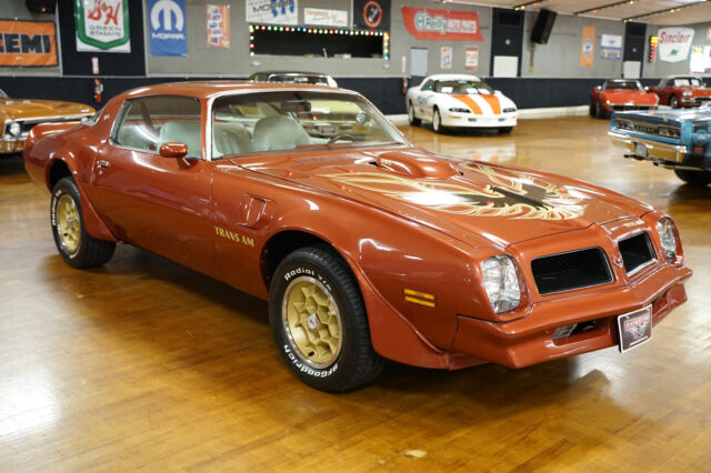 Pontiac Trans Am 1976 image number 19