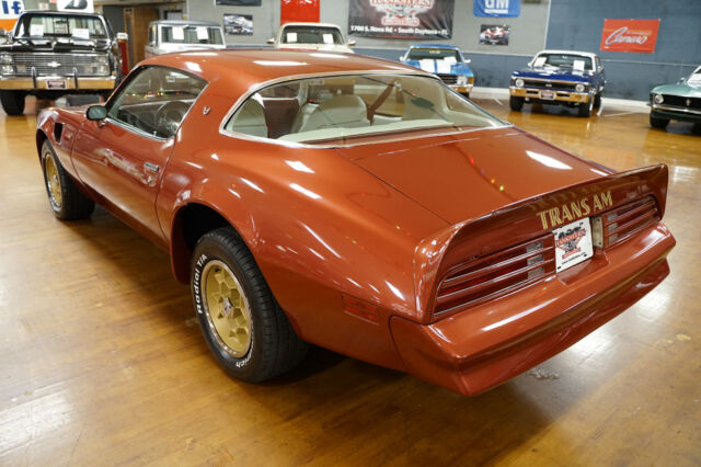 Pontiac Trans Am 1976 image number 3