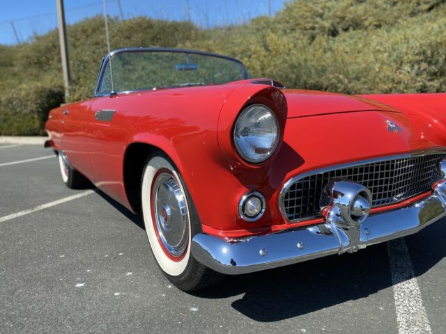 Ford Thunderbird 1955 image number 16