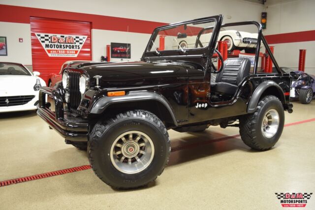 Jeep CJ 1979 image number 0