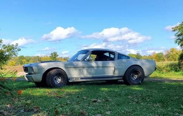 Ford Mustang 1966 image number 15