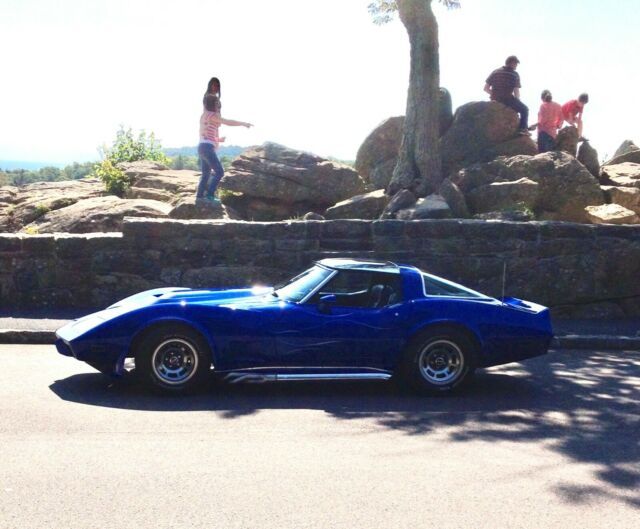 Chevrolet Corvette 1979 image number 44