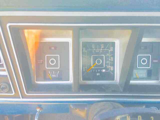 Ford F150 1978 image number 32