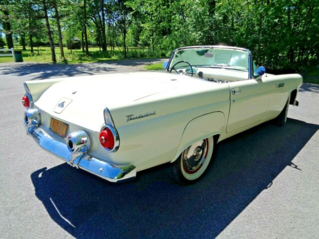 Ford Thunderbird 1955 image number 29