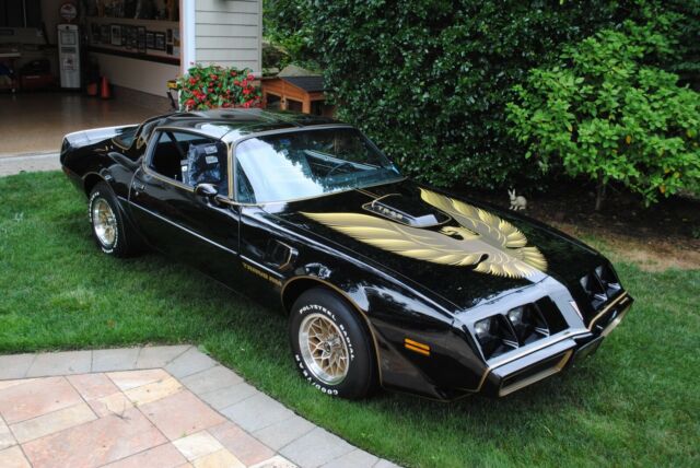 Pontiac Trans Am 1979 image number 0