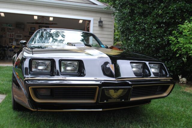 Pontiac Trans Am 1979 image number 30