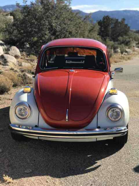 Volkswagen Super Beetle 1971 image number 29