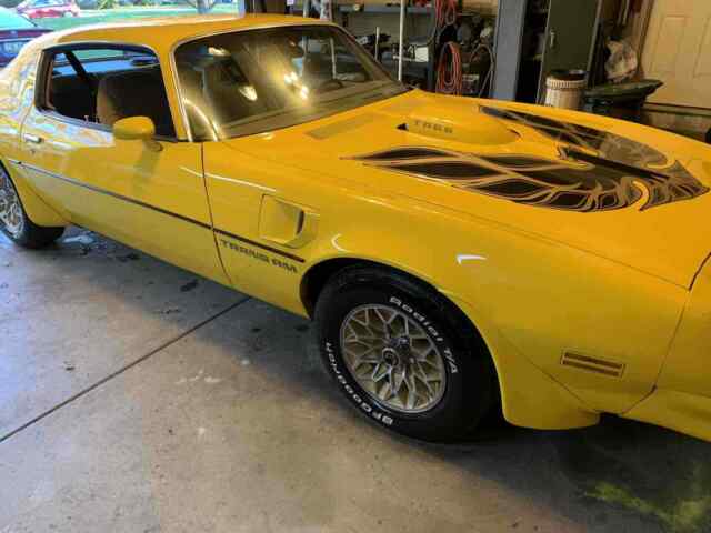 Pontiac Trans Am 1976 image number 12