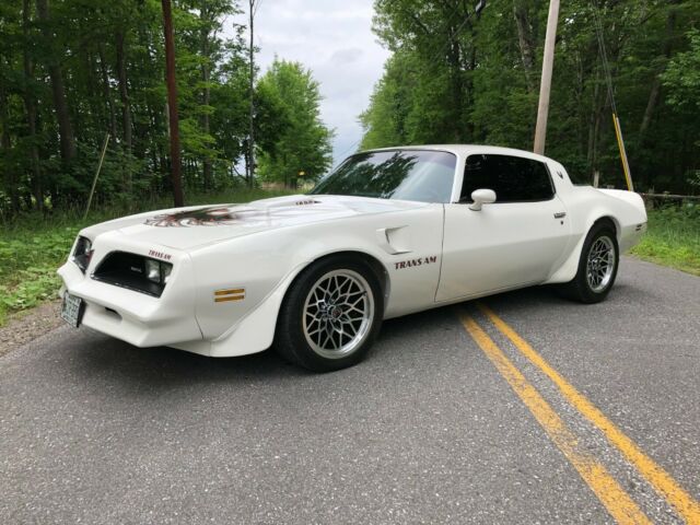 Pontiac Trans Am 1978 image number 0