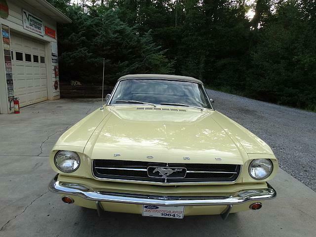 Ford Mustang 1965 image number 3