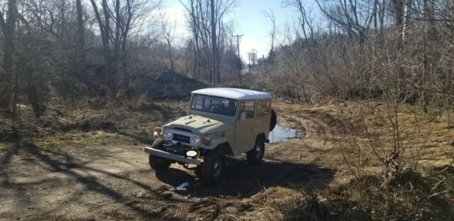 Toyota Land Cruiser 1970 image number 16