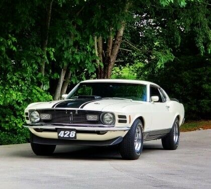 Ford Mustang 1970 image number 0