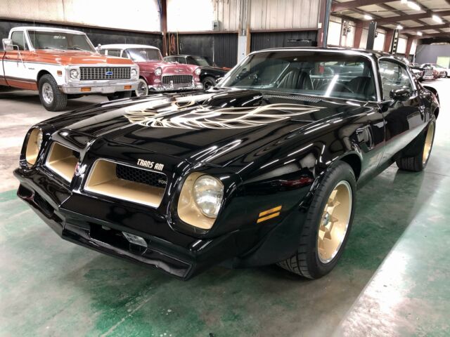 Pontiac Trans Am 1976 image number 0