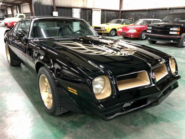 Pontiac Trans Am 1976 image number 30