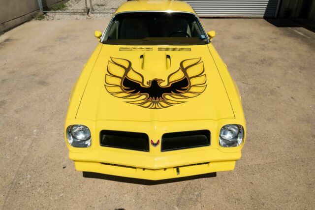 Pontiac Firebird 1976 image number 8