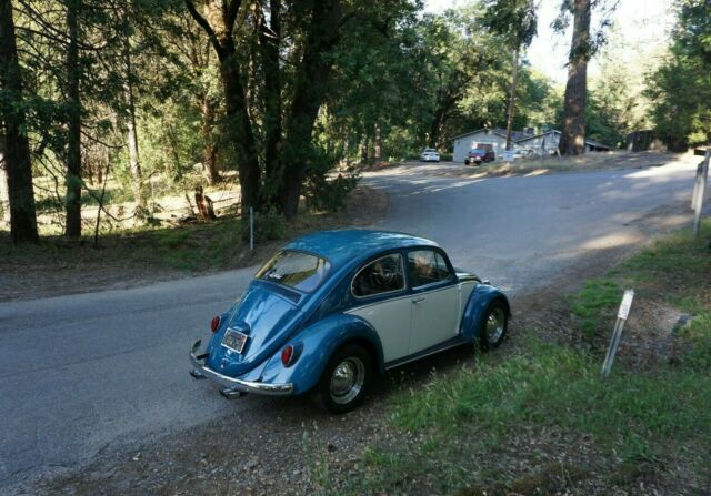 Volkswagen Beetle - Classic 1966 image number 10